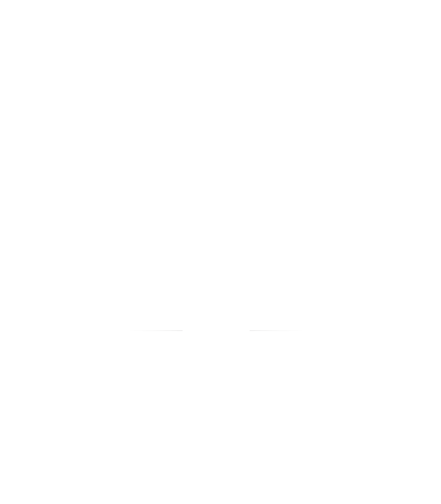 Rocket icon