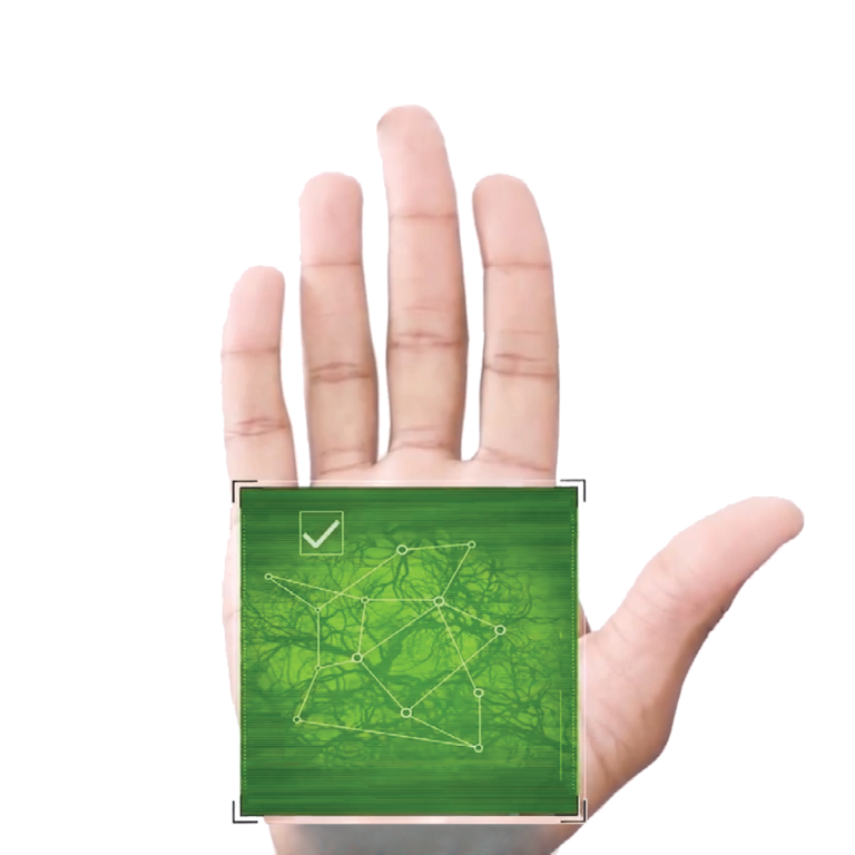 Palm Vein Authentication